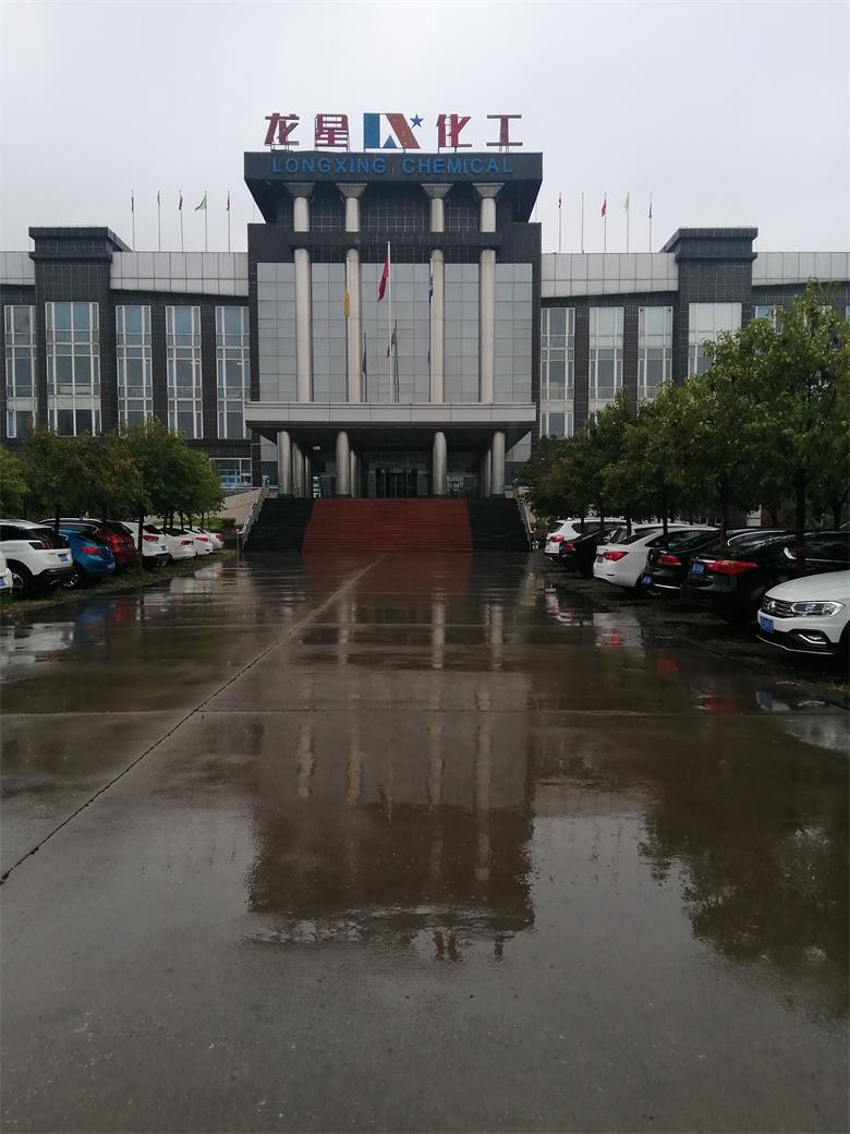 龍星化工股份有限公司